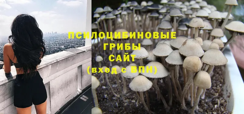 Псилоцибиновые грибы Magic Shrooms  кракен ссылки  Белово  где можно купить наркотик 